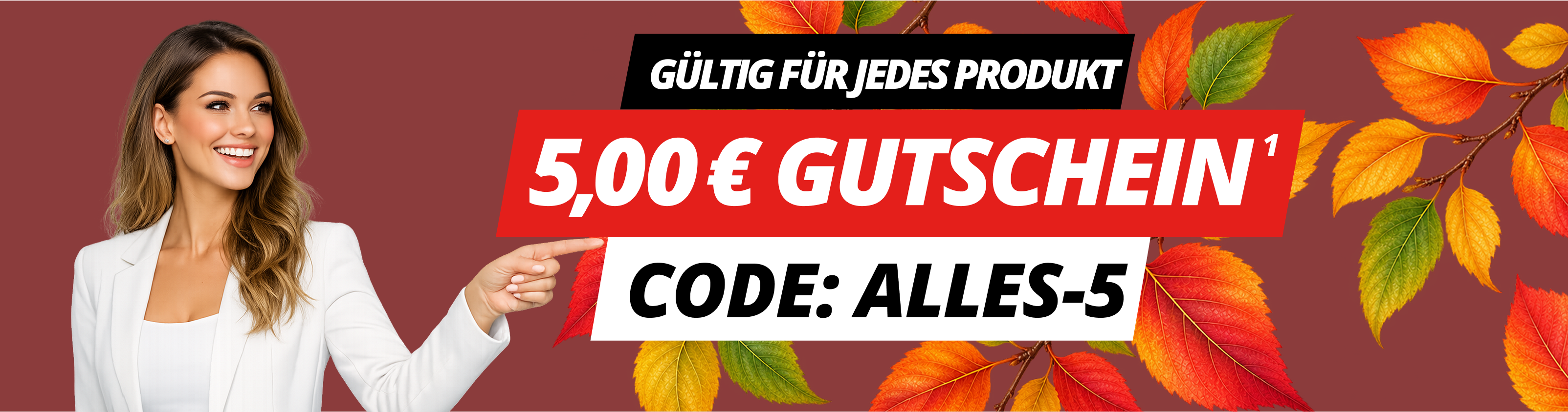 promotion banner