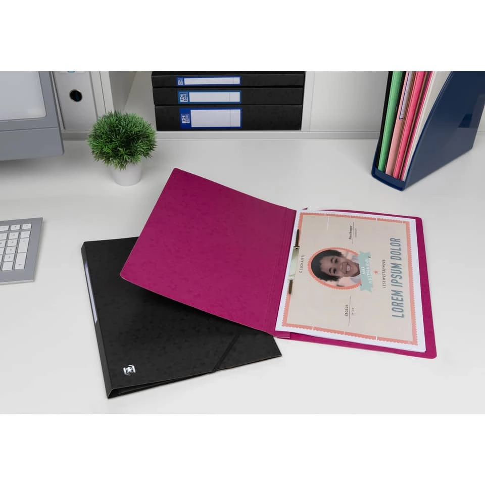 OXFORD Schnellhefter TOP FILE+ - A4, Karton 390g/qm, kfm. und Amtsheftung, violett