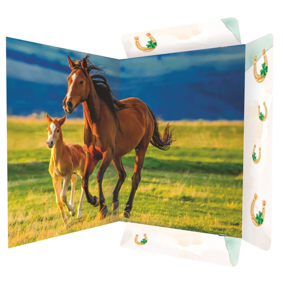 RNK Verlag Zeichenmappe Free Horses - A3, 3 Klappen mit Gummizug, Karton