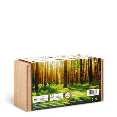 FabBrix Holz-Bausteine, 70 Stück