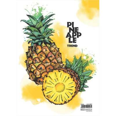 RNK Verlag Zeichenmappe “Ananas“- A4, Karton, mit Gummizugverschluss