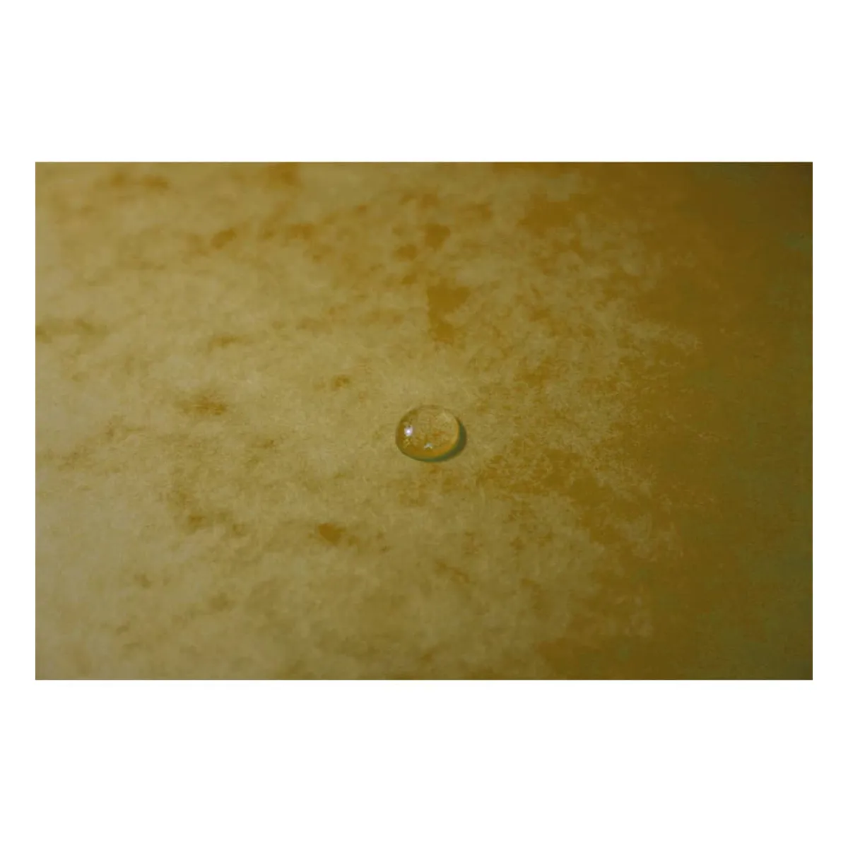 Exacompta Sammelmappe - A4, 355 g/qm, Gummizug, gelb