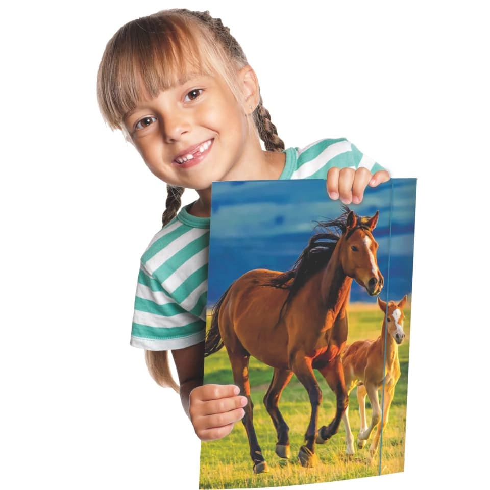 RNK Verlag Zeichenmappe Free Horses - A3, 3 Klappen mit Gummizug, Karton