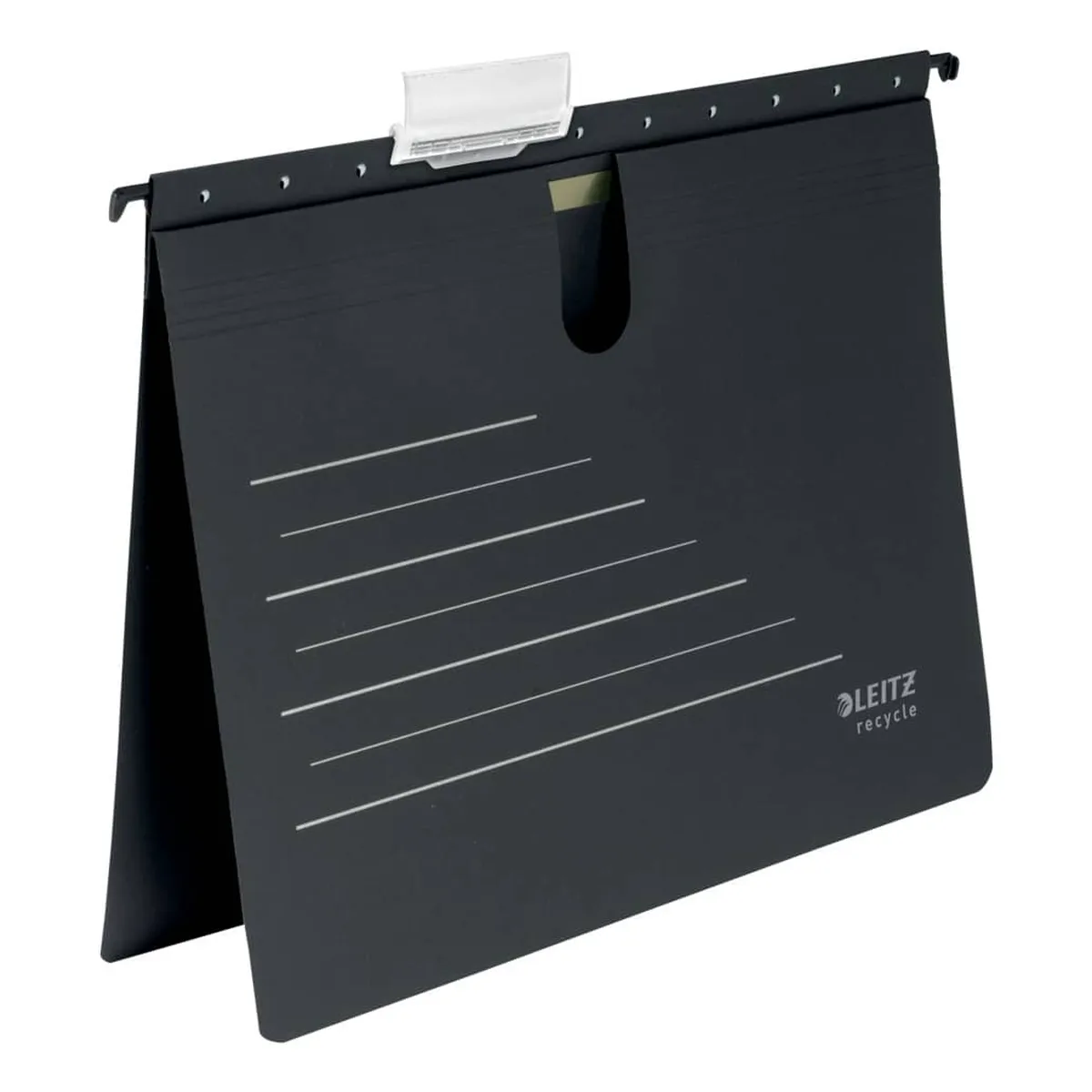 Leitz Hängehefter Alpha® Recycle - kfm. Heftung, Karton (RC), schwarz