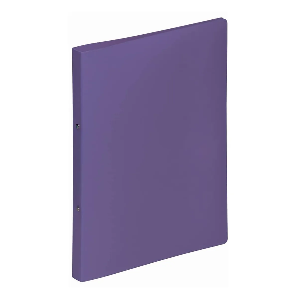 Pagna Ringbuch LucyColours - A4, 2-Ring, Ring-Ø 13 mm, lila