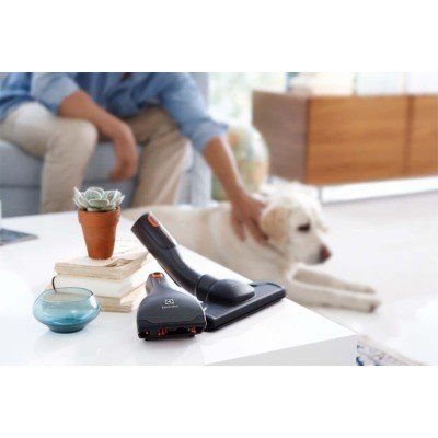 Electrolux KIT15 Advanced Precision Animal Care Kit - ovaler Anschluss - 36 mm