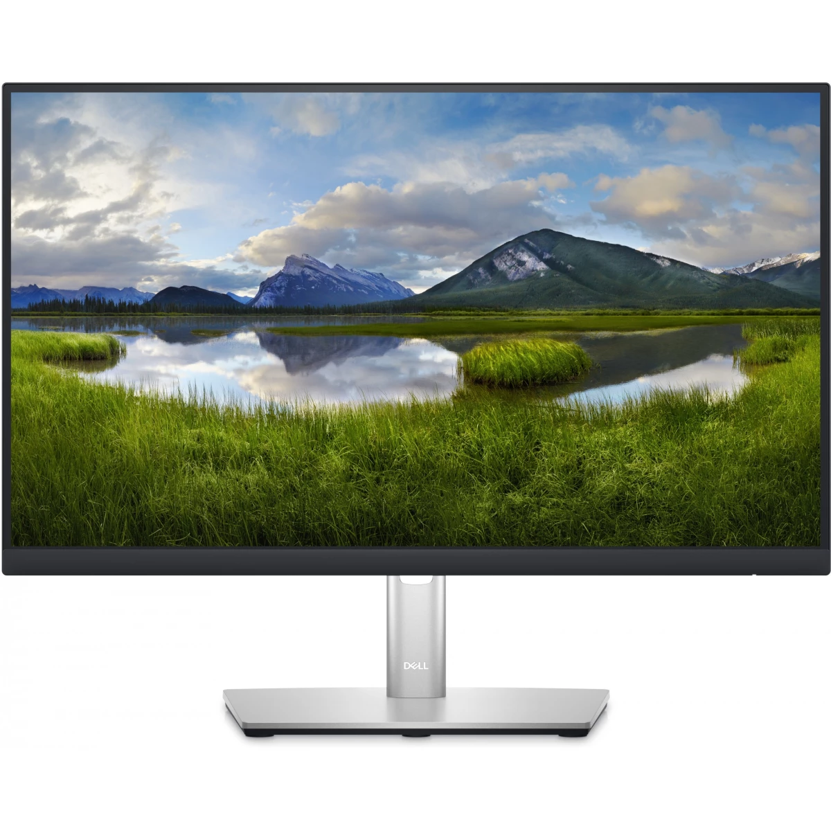 55,9cm/22'' (1920x1080) Dell P2223HC 16:9 14ms IPS HDMI DisplayPort USB-C USB-Hub VESA Pivot Full HD Black/Silver