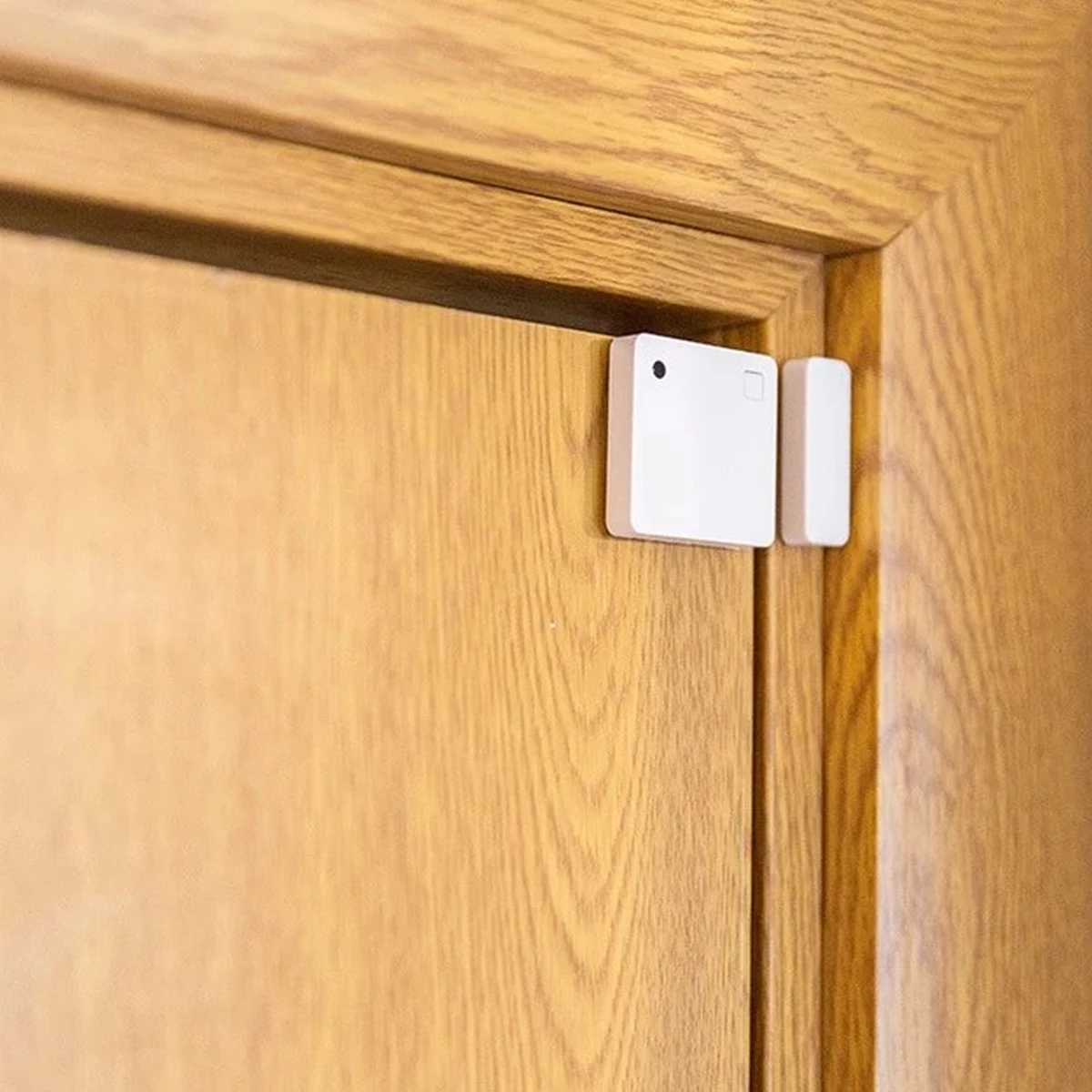Shelly Sensor “Blu Door/Window“ Tür- & Fensterkontakt Bluetooth, schwarz - Home 