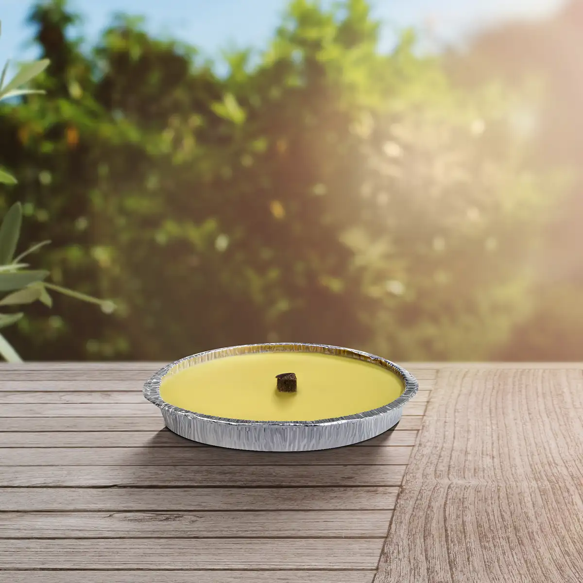 Citronella-Kerze in Alu-Schale 160g
