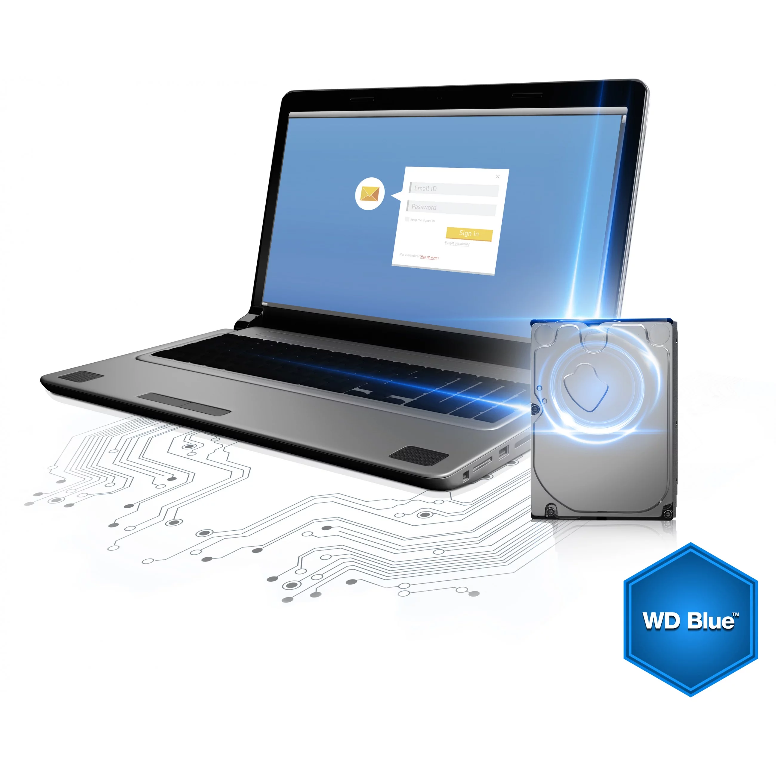 Western Digital Blue 3.5 Zoll 1000 GB Serial ATA III