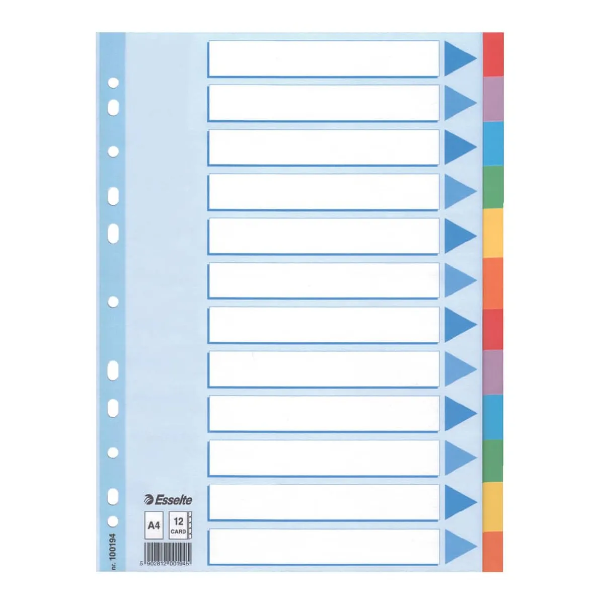 Esselte Register - blanko, Karton, A4, 12 Blatt, weiß, farbige Taben