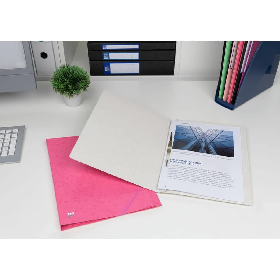 OXFORD Schnellhefter TOP FILE+ - A4, Karton 390g/qm, kfm. und Amtsheftung, chamois