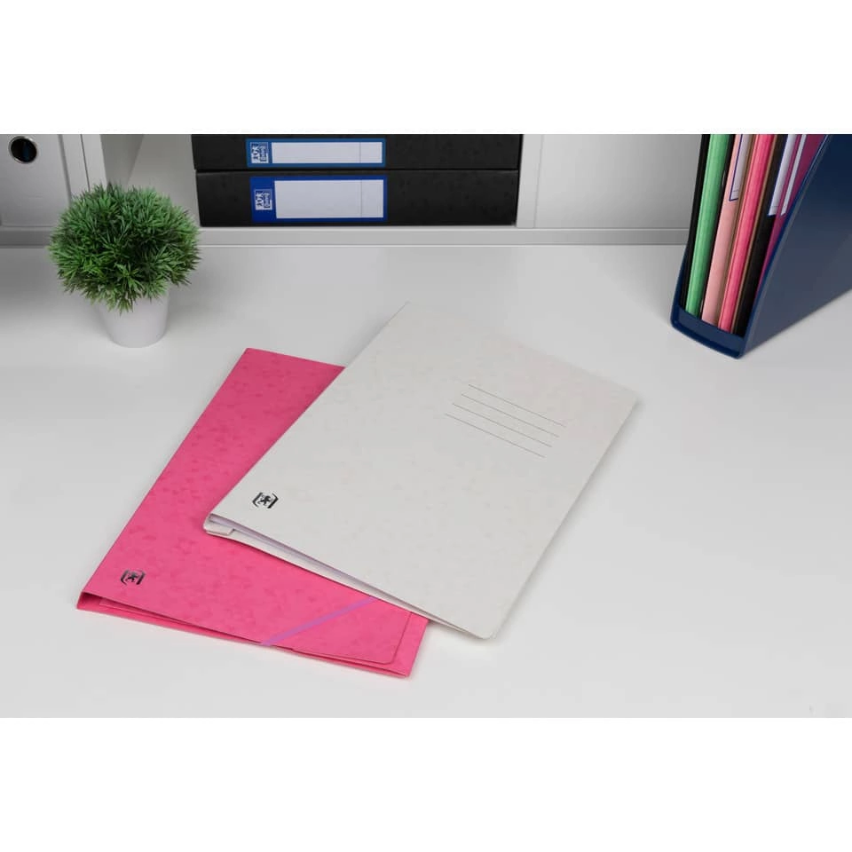 OXFORD Schnellhefter TOP FILE+ - A4, Karton 390g/qm, kfm. und Amtsheftung, chamois
