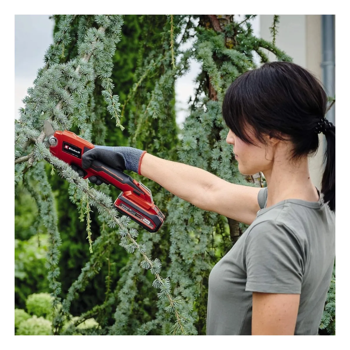 Einhell Akku-Astschere GE-LS 18 Li-Solo
