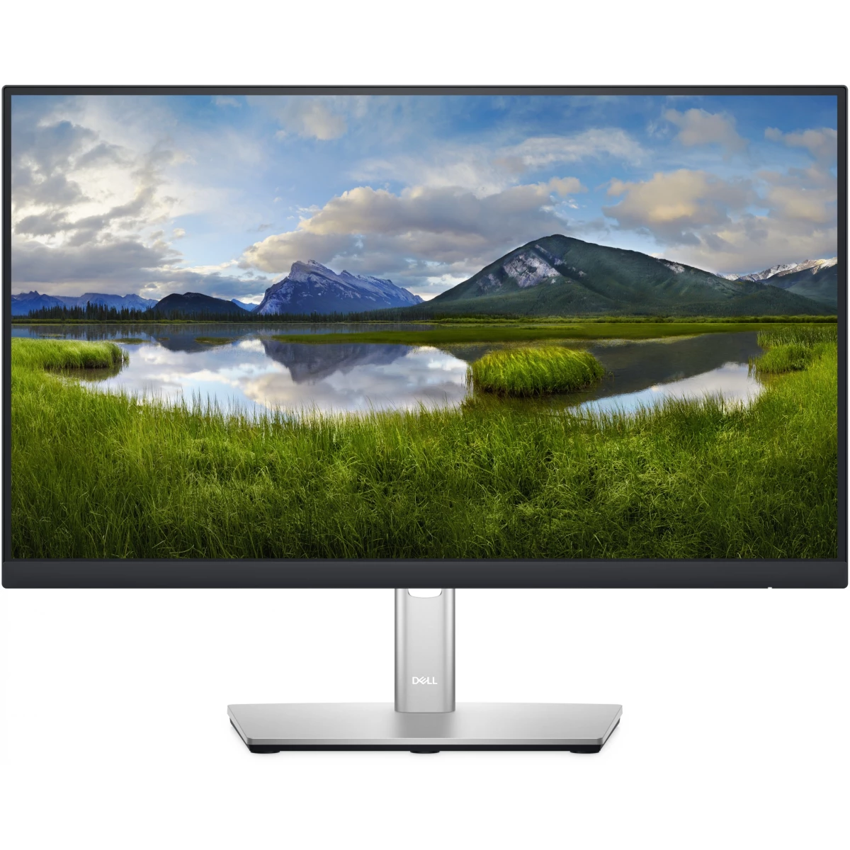 54,61cm/21,5'' (1920x1080) Dell-P2222H 16:9 5ms IPS DisplayPort VGA HDMI 4xUSB 3.2 VESA Pivot Full HD Black/Silver