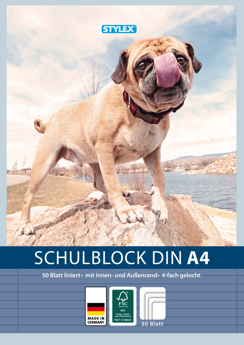 Stylex Schulblock, DIN A4, gelocht, liniert, FSC